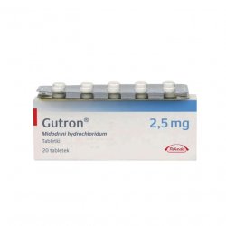 Гутрон таблетки 2,5 мг. №20 в Магадане и области фото