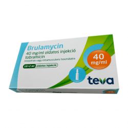 Бруламицин раствор для инъекций 40мг/мл 2мл! (80мг) ампулы №10 в Магадане и области фото